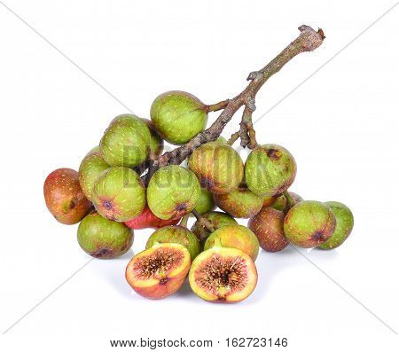 Ficus racemosa isolated on the white background