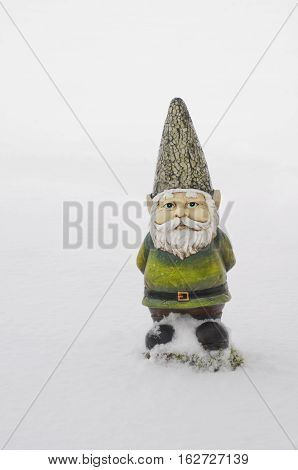 Gnome with green suit and hat out in country field standing in pure white snow