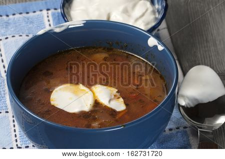 Russian cabbage soup (Shchi) in ceramic bowl