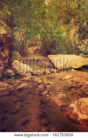 Amazing natural landscape in the Avakas canyon in Cyprus. National wild park with cliffs, mountains, rocks and trees. Deep natural valley to discovery for tourists and travellers. Vintage background