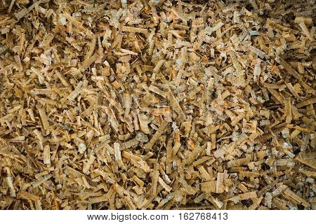 Collect Sawdust photo taken in Bogor Indonesia texture style