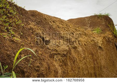 a pile of soil with grass photo taken in Bogor Indonesia java