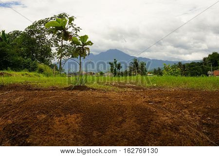 Mount Salak view from a play field photo taken in Bogor Indonesia java
