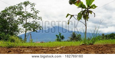 View of Mount Salak with green bush photo taken in Bogor Indonesia java
