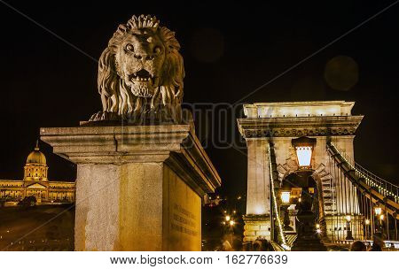 Chain Bridge Lion Buda Palace Budapest Hungary