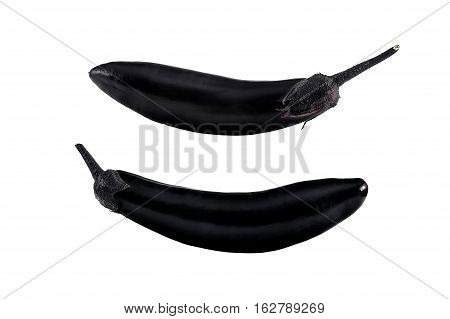 One purple eggplant, photographed from two sides