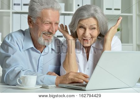 mature couple using laptop, posing and smiling