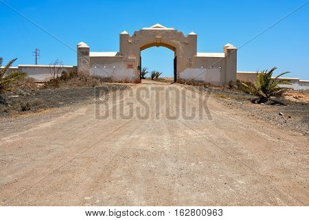 Dry Desert Landscape