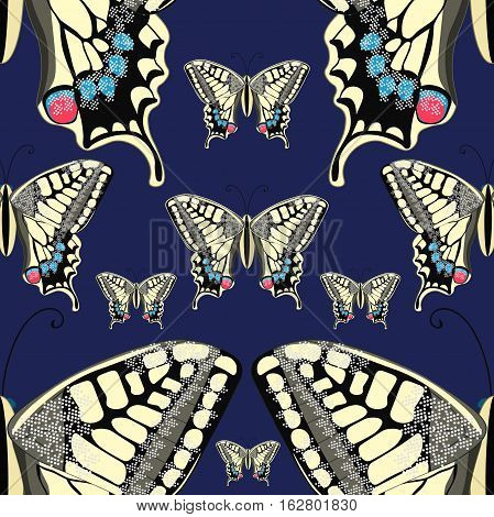 Seamless Pattern Machaon Butterfly Close Up Europe. Vector Illustration