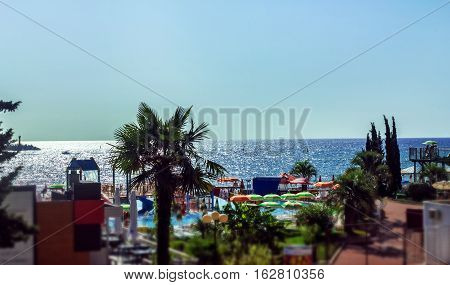Resort line with palm trees on sea beack at summer sunny day