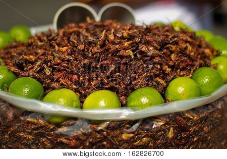 Fried Grasshoppers (chapolenas) At A Market, Mexico