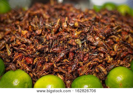 Fried Grasshoppers (chapolenas) At A Market, Mexico