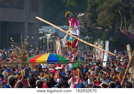 Day Of The Virgin Of Guadalupe In Mexico City