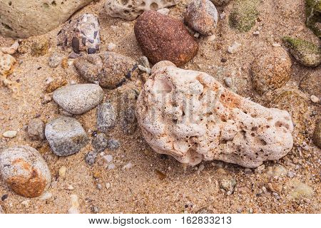 Dead coral at Kalim bay Phuket Thailand. It can be used for art work