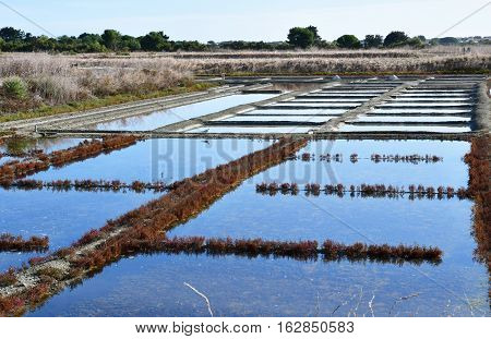 Loix France - september 26 2016 : the picturesque salt evaporation pond