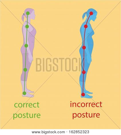 Correct alignment of human body in standing posture for good personality and healthy of spine and bone. Health care and medical illustration
