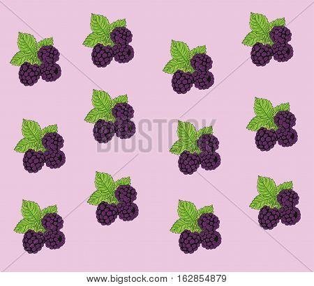 Blackberries in a colored background. illustration background