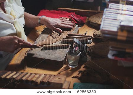 An elderly woman works on traditional manufacture of cigars at the cuban tobacco factory, Cuba