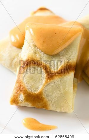 Hungarian Hortobagyi Palacsinta or Crepe a la Hortobagy a savory thin pancake filled with minced meat and served with a paprika and sour cream sauce based on the sauce of the meat photographed with natural light (Selective Focus Focus on the tip of the sa