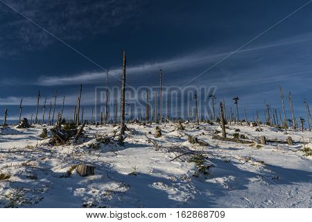 Sunny Day In Jeseniky Mountains Near Kralicky Sneznik Hill With Snow