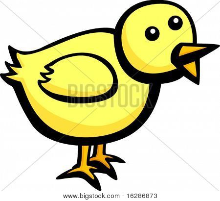 dziecko kurczaka lub pisklę