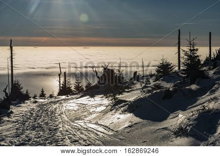 Sunny Day In Jeseniky Mountains Near Kralicky Sneznik Hill With Snow