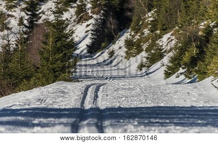 Sunny Day In Jeseniky Mountains Near Kralicky Sneznik Hill With Snow