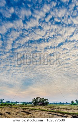 Cloudscape with altocumulus clouds Altocumulus middle-altitude cloud in stratocumuliform - natural background