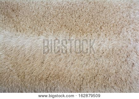 Bright fur mink. Fur texture and background.