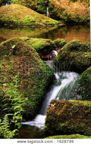 Cascada