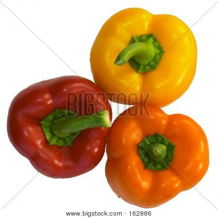 Capsicum2