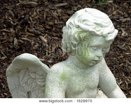 Angel3
