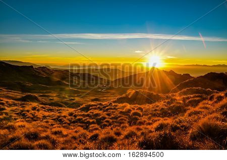 Bright Colours Of Morning