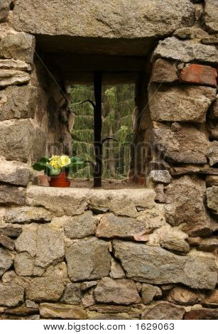 Ventana en el castillo con primaveras