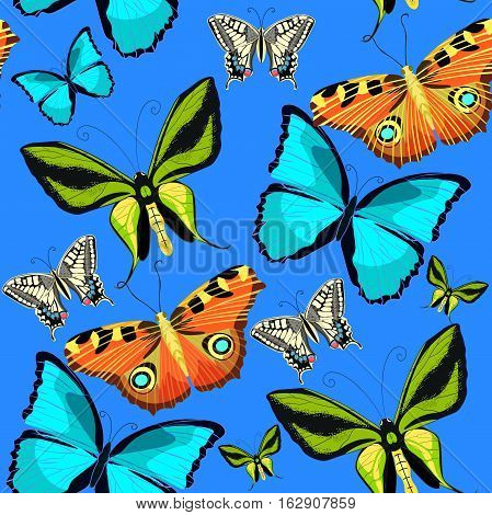 Seamless Pattern Ornithoptera Paradisea, Butterfly Wings Of A Bird Of Paradise Vector Illustration