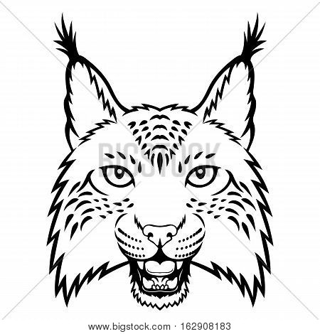 A lynx head logo. This is vector illustration ideal for a mascot and tattoo or T-shirt graphic.