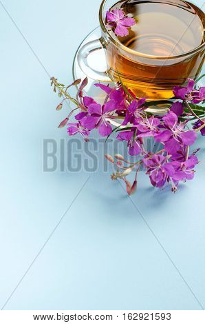 Herbal Tea. The Fireweed. Alternative Medicine.