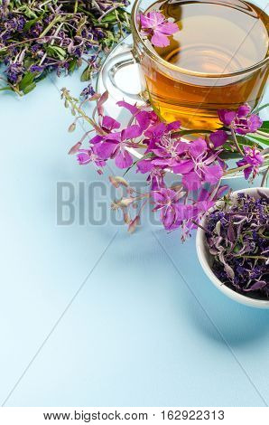 Tea Made From Fireweed. Herbal Tea. Medicinal Plants.