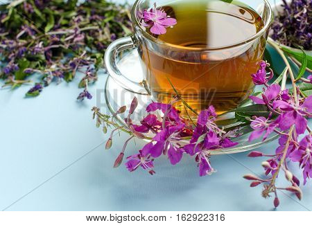 Tea Made From Fireweed. Herbal Tea. Medicinal Plants.