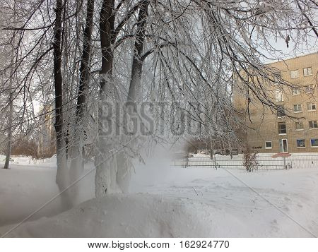 Icy trees and buikding in winter Akademgorodok, Novosibirsk