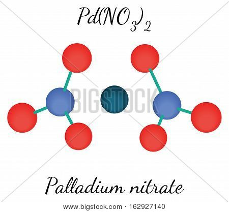 Palladium nitrate PdN2O6 molecule isolated on white