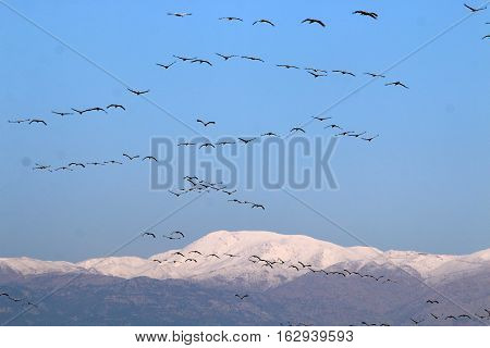 Hermon height reaches 2800 meters, the mountain is located in the north of Israel, where the lowest temperature in the country, the snow cover lasts almost all year round,