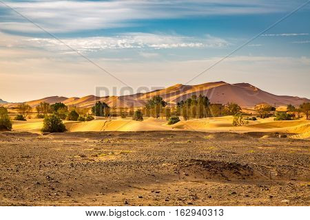 Southwestern Part Of The Sahara Desert In Morocco