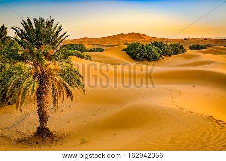 Sand Dunes Of The Sahara Desert, Morocco