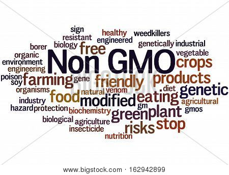 Non Gmo, Word Cloud Concept 6