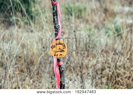 hunting mark on tree trunk in sweden