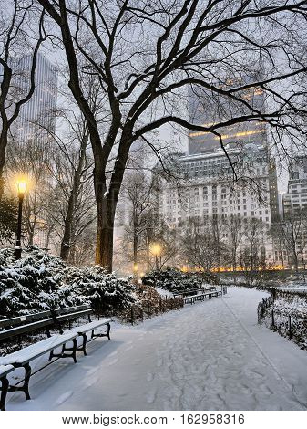 Central Park New York City early morning at sunrise in winter snow storm