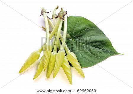 Moonflower (Ipomoea alba L.). Edible flower, Food.