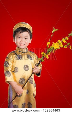 Portrait of a handsome Asian baby boy on traditional festival costume holding Hoa Mai tree (Ochna Integerrima) flower. Cute little Vietnamese boy in ao dai dress smiling. Tet holiday. Lunar New Year.