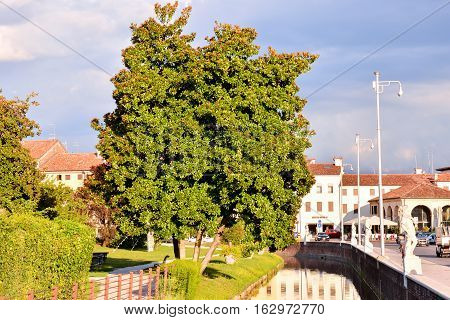 Castelfranco Veneto Medieval City